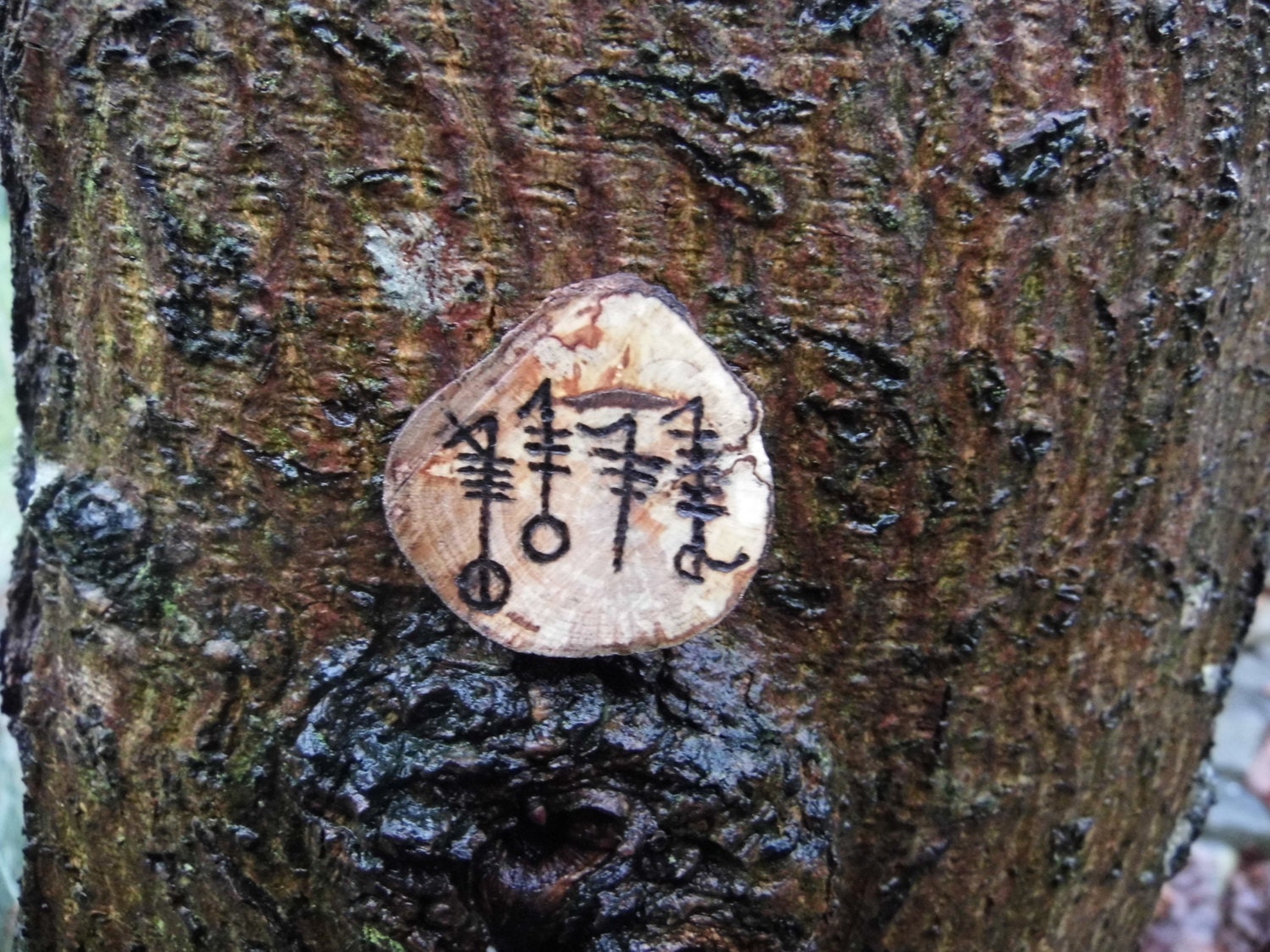 Svefnthorn Sleep Thorn Rune - Etsy