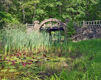 Old stone bridge, pond, lily pads, Gillette Castle Park, East Haddam, Connecticut, nature photo, landscape photo, archival print, signed