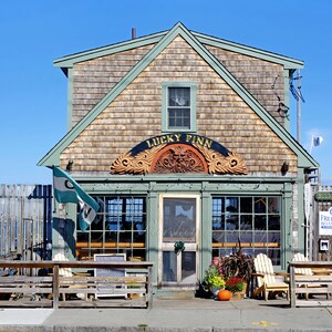 May include: A wooden building with a green roof and a sign that says "Lucky Finn". The building has a large window and a door. There are chairs and tables outside the building.