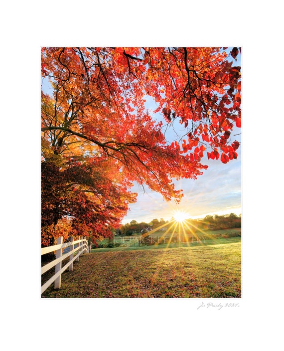 Autumn Sunrise, Westmoor Park, West Hartford, Connecticut