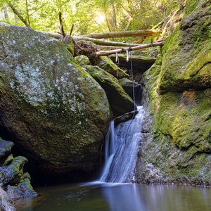 Spruce Brook Falls, Beacon Falls, CT, waterfalls, nature, Connecticut, New England, forest, green and gold, archival print, signed