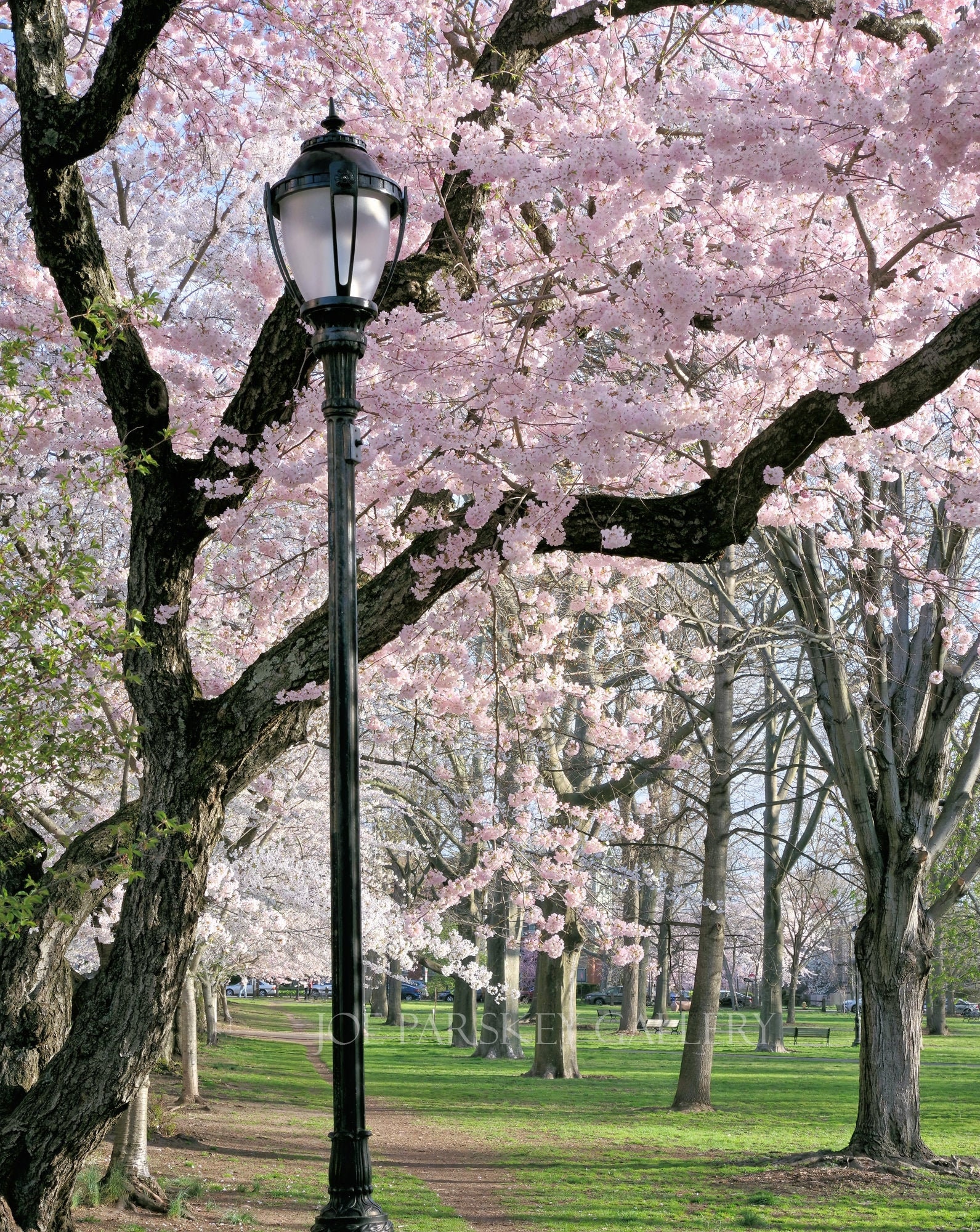 Wooster Memorial Park