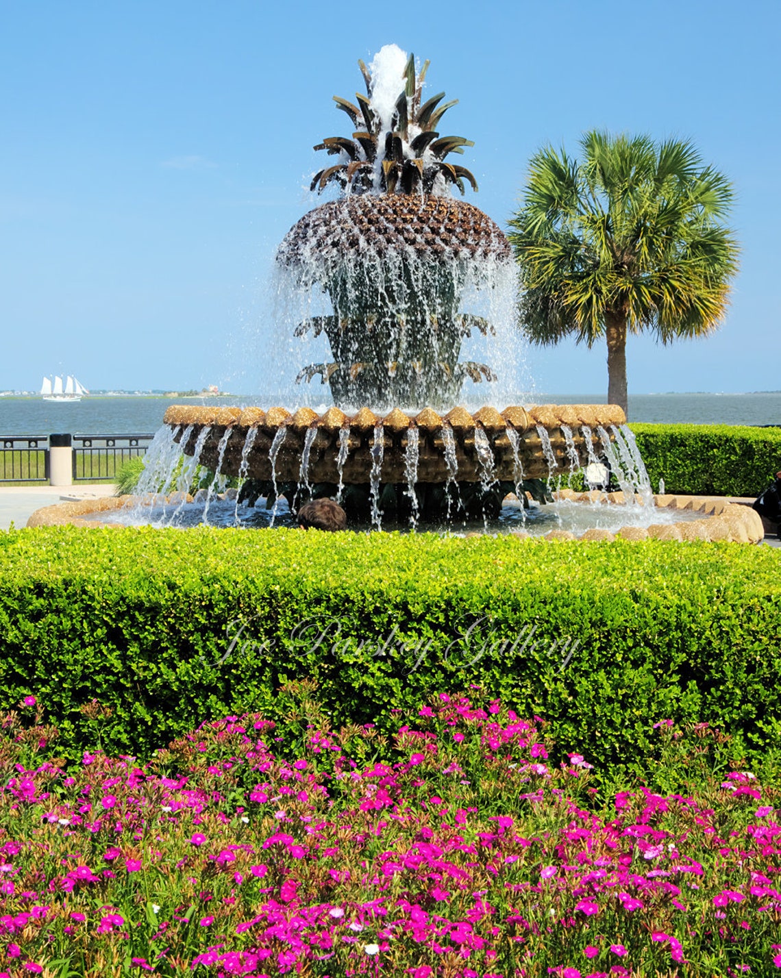 Pineapple Fountain, Charleston, South Carolina, Art Photo, Home Decor