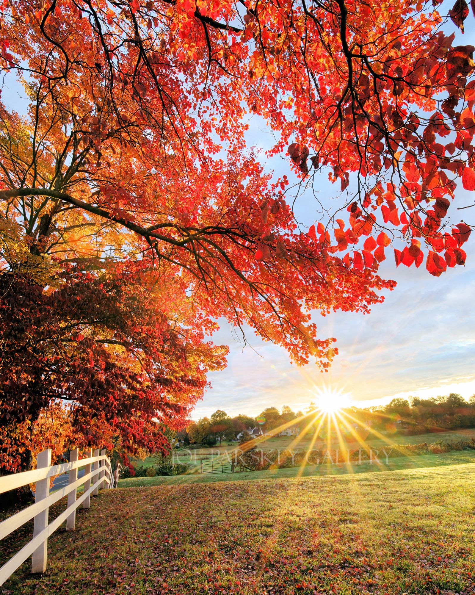 Autumn Sunrise, Westmoor Park, West Hartford, Connecticut