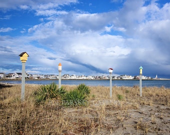 Birdhouses under a March sky, Scituate, Massachusetts, art photo, home decor, south shore, wall art, archival print, by Joe Parskey