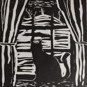 Black cat