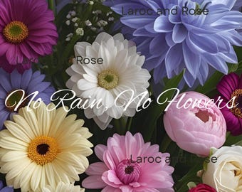 No Rain, No Flowers