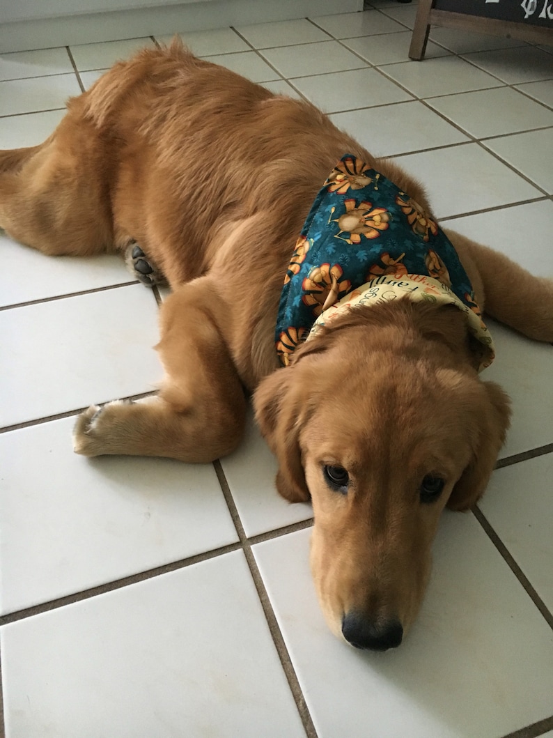 reversible pet bandanas~pet bandanas~thanksgiving~dog pet wear holiday wear