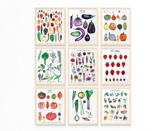 CUSTOMIZABLE COLLECTION of 9 botanical posters (11X14 inches, kraft or white paper), kitchen wall decor, food illustration