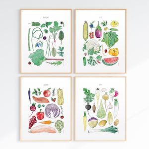 4 Seasons Fruit and Vegetable Posters (11X14 inches) Spring, Summer, Fall, Winter Harvests