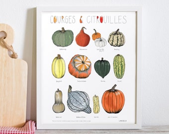 Squashes and pumpkins Poster - (white cardstock)