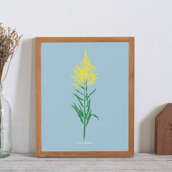 Goldenrod Poster - bad weed series (11X14 inches) floral print