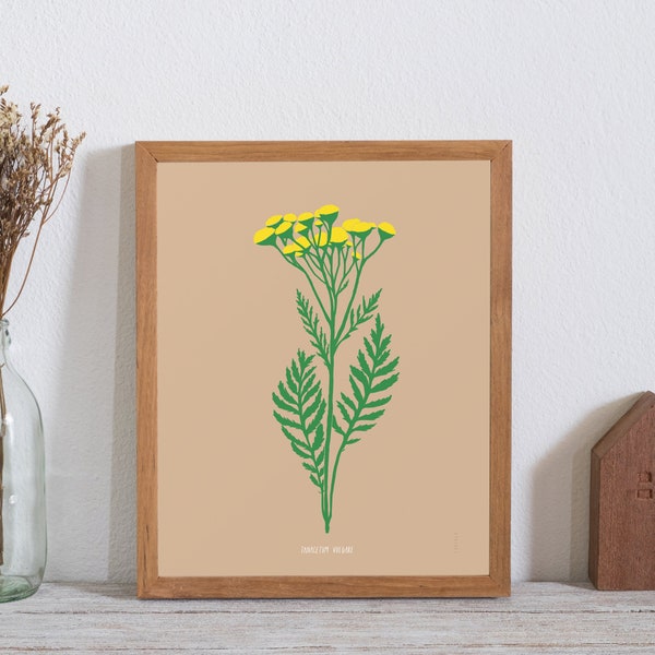 Common Tansy Poster - bad weed series (11X14 inches) floral print