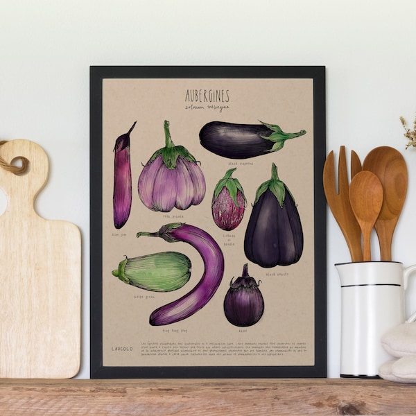 Affiche - Aubergines ancestrales (carton kraft) (taxes incluses)