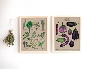 CUSTOMIZABLE DUO of botanical posters - (11X14 inches, kraft cardstock) Kitchen wall decor, food prints