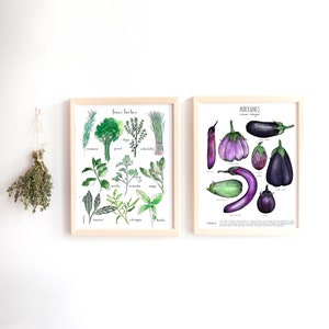 CUSTOMIZABLE DUO of prints 11X14 inches, white cardstock Your 2 choices of my botanical posters image 1