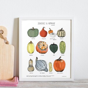 Squashes and pumpkins Poster white cardstock English / Anglais