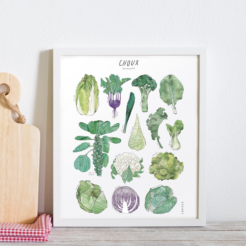 Print Cabbages Brassicaceae white or kraft cardstock White