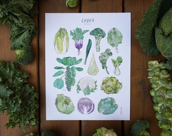 Print Cabbages - Brassicaceae (white or kraft cardstock)