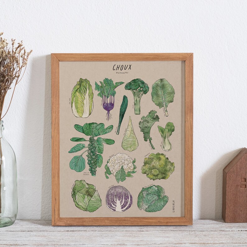 Print Cabbages Brassicaceae white or kraft cardstock Kraft