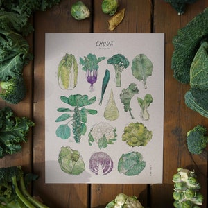 Print Cabbages Brassicaceae white or kraft cardstock image 2