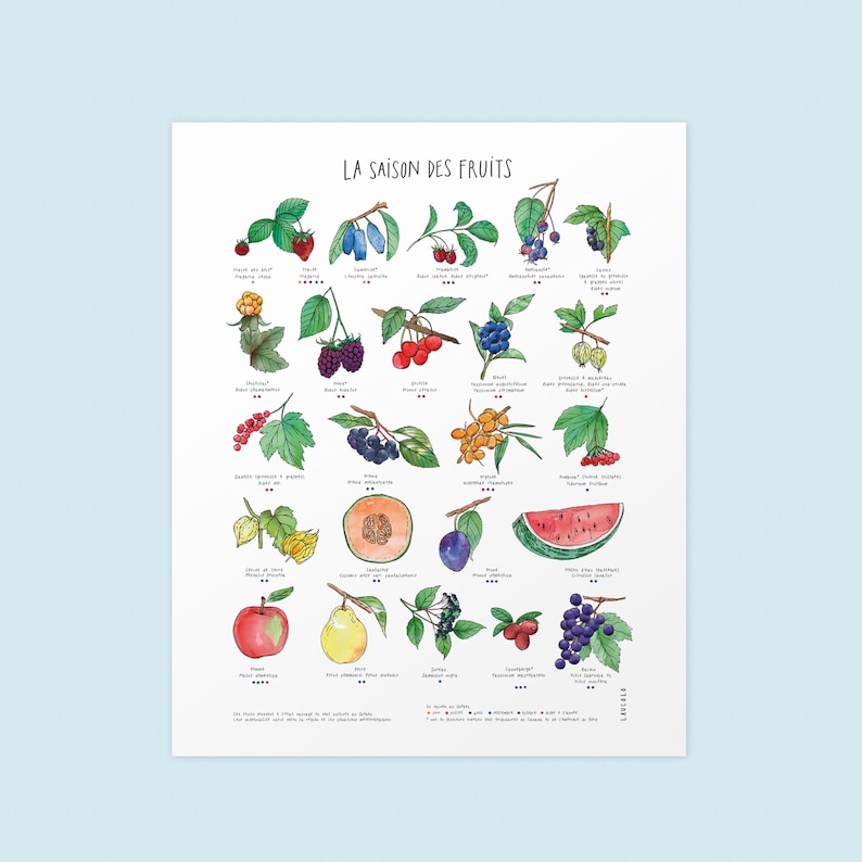 CUSTOMIZABLE DUO of prints 11X14 inches, white cardstock Your 2 choices of my botanical posters image 9