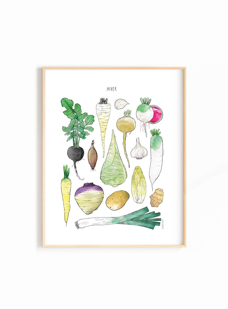 4 Seasons Fruit and Vegetable Posters 11X14 inches Spring, Summer, Fall, Winter Harvests image 9