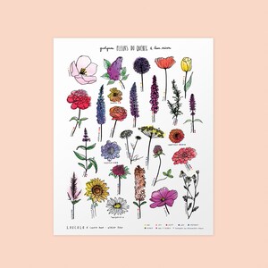 CUSTOMIZABLE DUO of prints 11X14 inches, white cardstock Your 2 choices of my botanical posters image 7