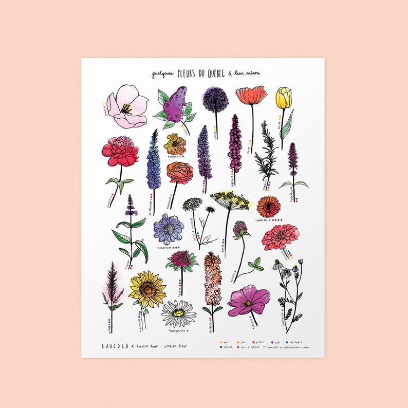 CUSTOMIZABLE DUO of prints 11X14 inches, white cardstock Your 2 choices of my botanical posters image 7