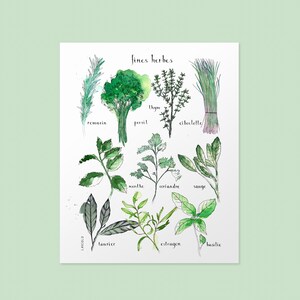 CUSTOMIZABLE DUO of prints 11X14 inches, white cardstock Your 2 choices of my botanical posters image 2