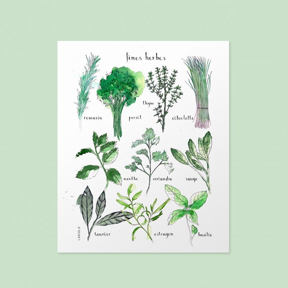 CUSTOMIZABLE DUO of Prints 11X14 Inches 