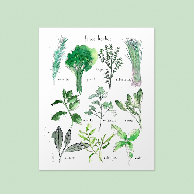 CUSTOMIZABLE DUO of prints 11X14 inches, white cardstock Your 2 choices of my botanical posters image 2