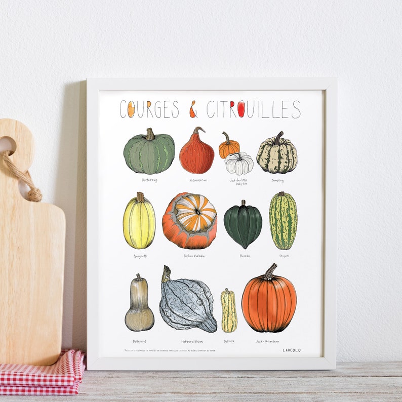 Squashes and pumpkins Poster white cardstock Français / French