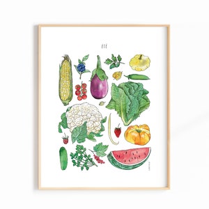 4 Seasons Fruit and Vegetable Posters 11X14 inches Spring, Summer, Fall, Winter Harvests image 5