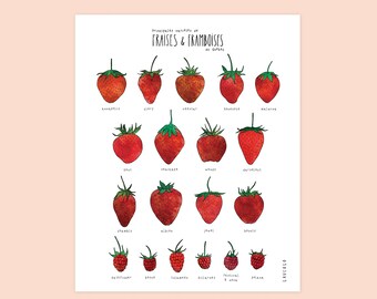 Strawberry and raspberry poster  - white cardboard