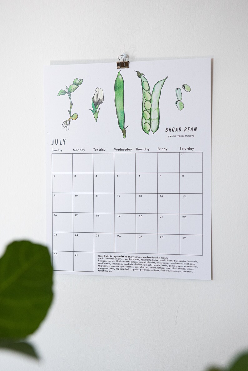 Calendrier 2023 des fruits et légumes du Québec pages - Etsy Canada