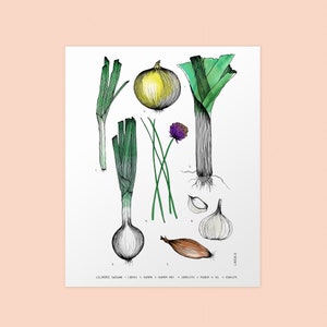 CUSTOMIZABLE DUO of prints 11X14 inches, white cardstock Your 2 choices of my botanical posters image 4