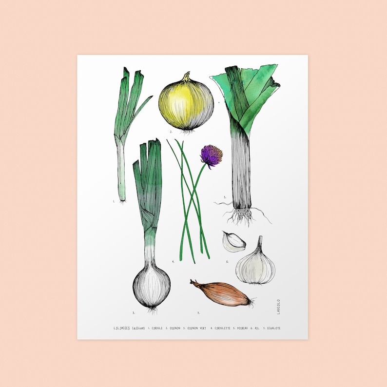 CUSTOMIZABLE DUO of prints 11X14 inches, white cardstock Your 2 choices of my botanical posters image 4