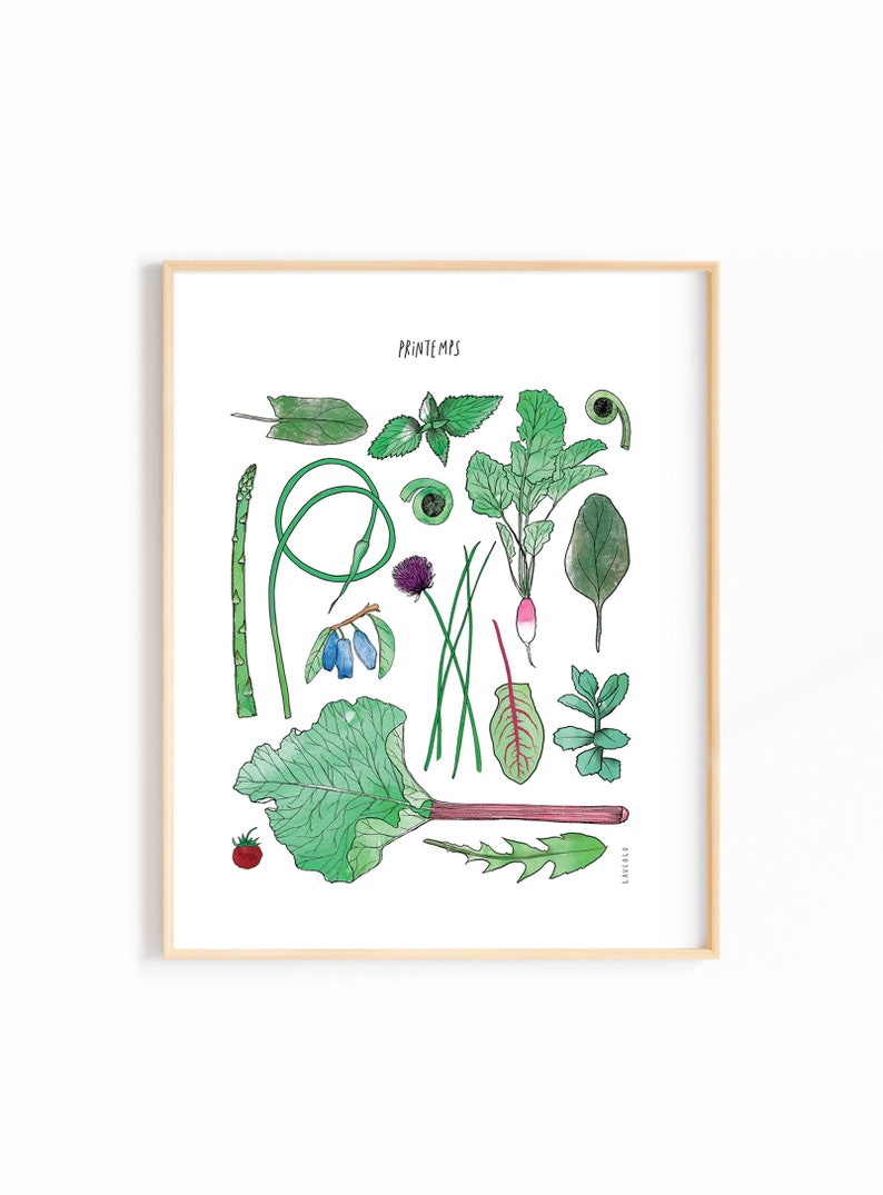 4 Seasons Fruit and Vegetable Posters 11X14 inches Spring, Summer, Fall, Winter Harvests image 3