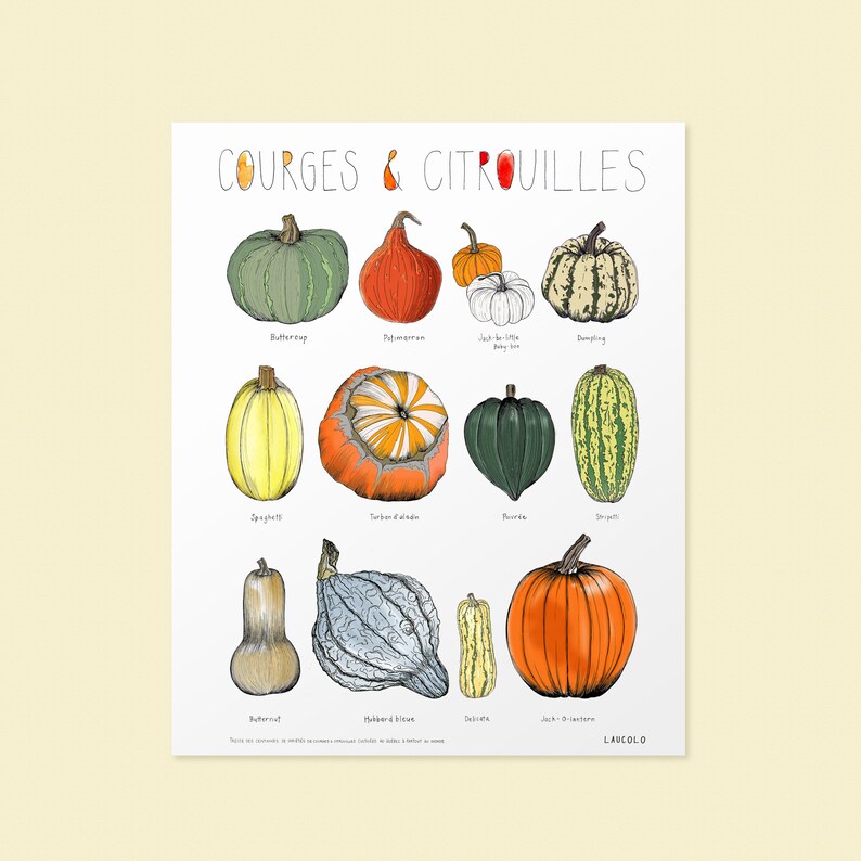 Squashes and pumpkins Poster white cardstock image 2