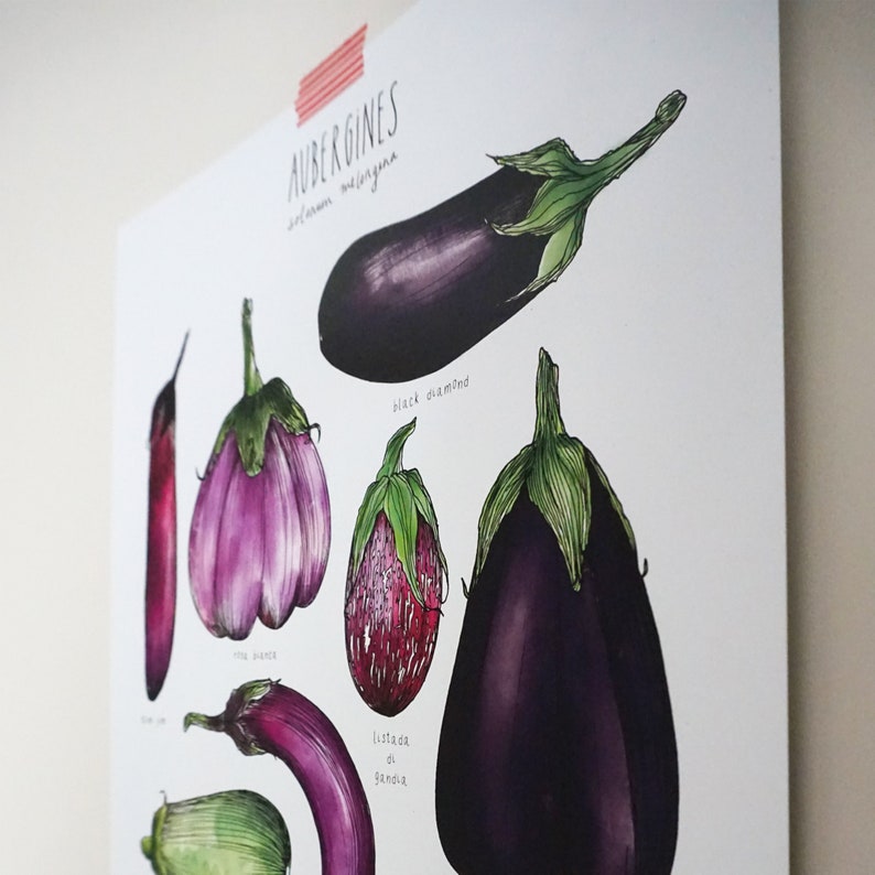 Heirloom Eggplant Print white Cardstock Etsy