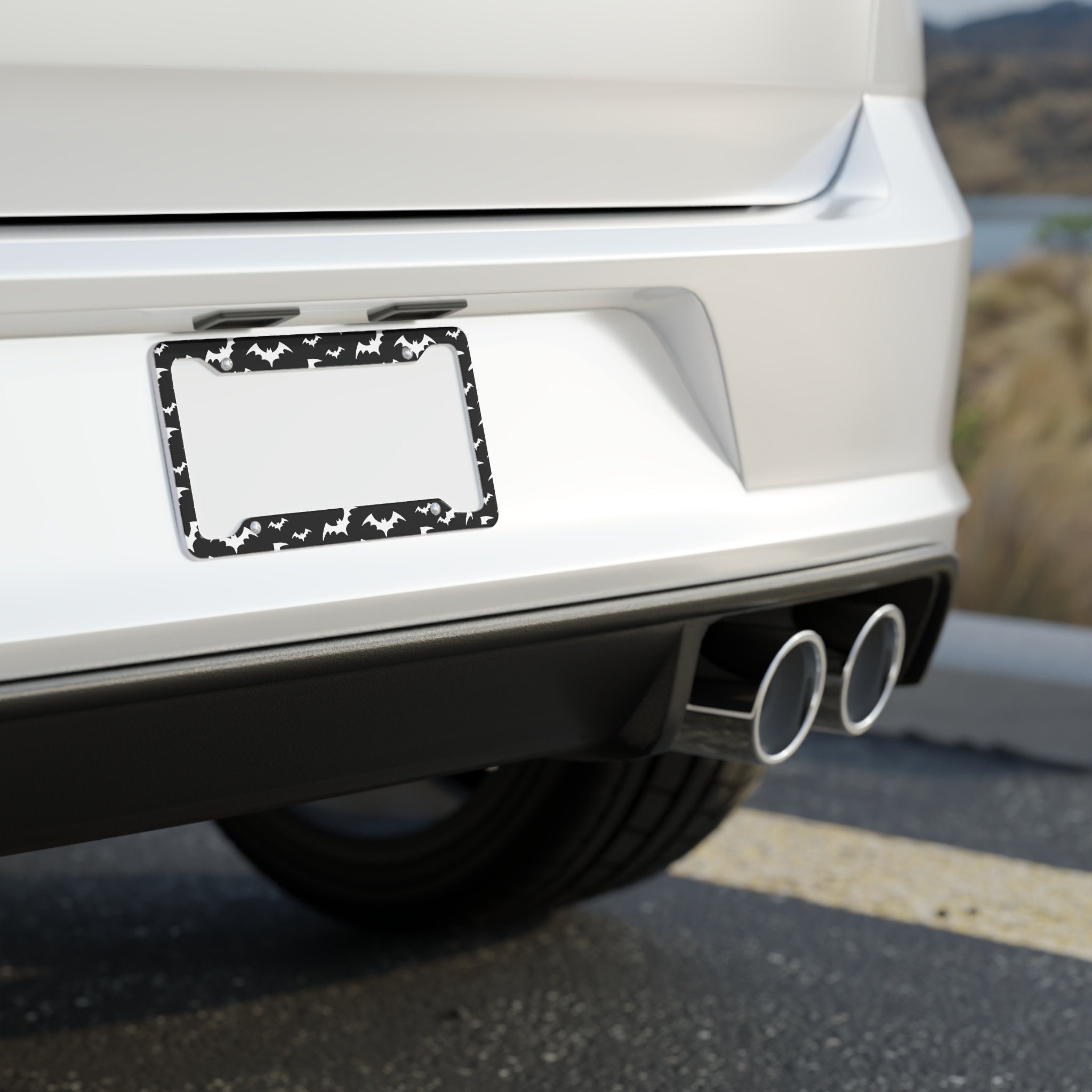 My Other Ride Is A Skateboard License Plate Frame - Funny Aluminum Car Accessory For Skateboarders