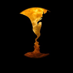 Twin Flame Psychic Reading CHANNELED