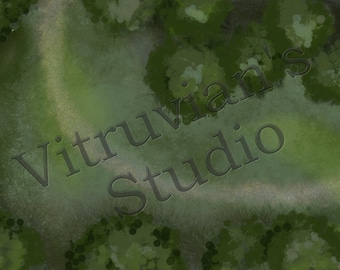 Forest Path, Full HD Battle Map for D&D 5E