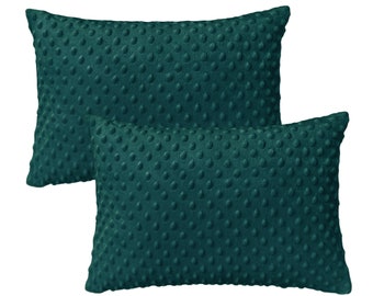 Set of 2 Kids' Pillowcases with Zipper Closure 13 x 18 Inches - Made of Minky Fabric