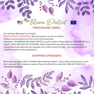 May include: A digitally designed image with a floral theme, featuring the text "Bloom Outlet" and information about processing times and shipping upgrades. The background is a soft purple with decorative floral elements.