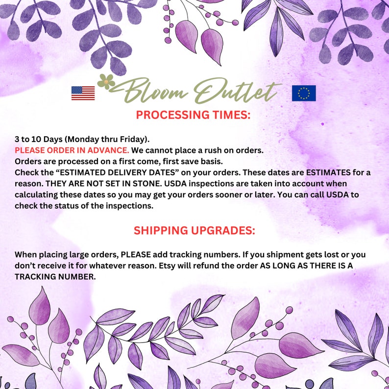 May include: A digitally designed image with a floral theme, featuring the text "Bloom Outlet" and information about processing times and shipping upgrades. The background is a soft purple with decorative floral elements.
