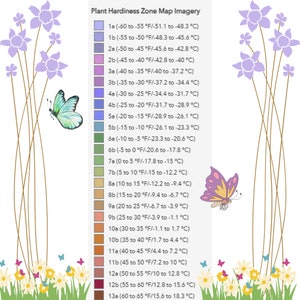 May include: A colorful chart showing plant hardiness zones in the United States. The chart is illustrated with butterflies and flowers. The zones are numbered 1a through 13a and are color-coded. Each zone is labeled with a temperature range in degrees Fahrenheit and Celsius.