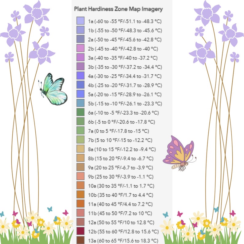 May include: A colorful chart showing plant hardiness zones in the United States. The chart is illustrated with butterflies and flowers. The zones are numbered 1a through 13a and are color-coded. Each zone is labeled with a temperature range in degrees Fahrenheit and Celsius.