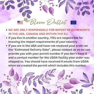 May include: A text-based image with a floral design and the text "Bloom Outlet". The text explains that the seller is only responsible for import requirements in the USA, Canada, and within the EU. If you live in another country, you are responsible for knowing the import requirements of your country. If you are in the USA and have not received your order on the "Estimated Delivery Date", please contact the seller so they can provide you with your permit number and a contact number for the USDA facility your order was shipped to. You should have received 4 emails from USDA when the permit was created, which includes this number.